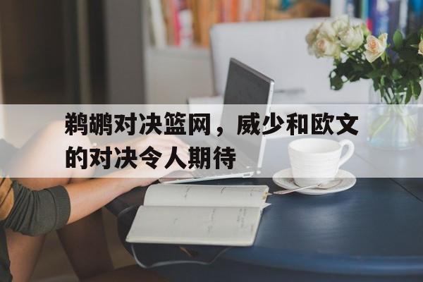 鹈鹕对决篮网，威少和欧文的对决令人期待的简单介绍